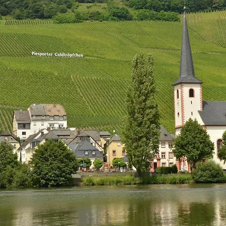 Tatil Evi Cozy In With Wifi Busendorf